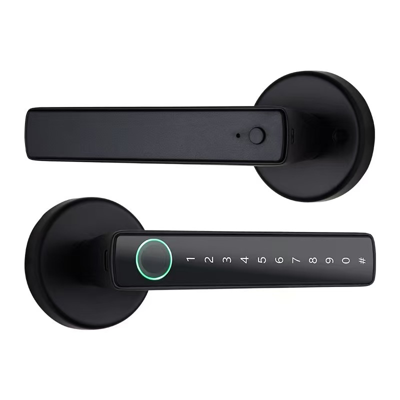 B1 — Handle Lock