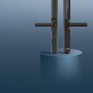 F39N6R — Face Pro