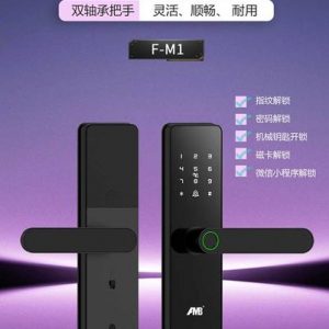 F-M1 Smart Lock