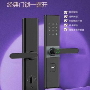 F-V8 Smart Lock