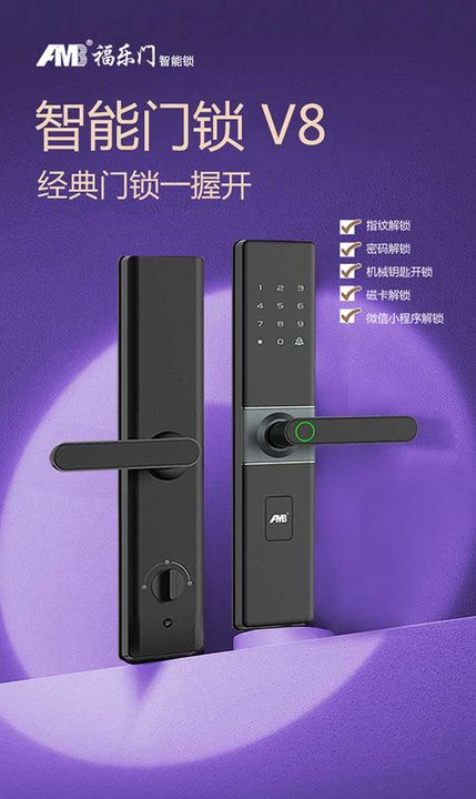 F-V8 Smart Lock