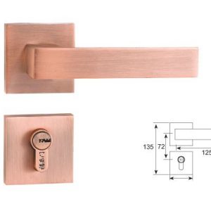 F328 Split Mortise Lock