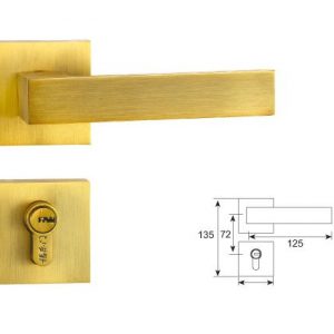 F328 Split Mortise Lock