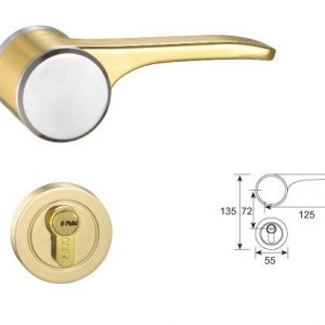 F618 Split Mortise Lock