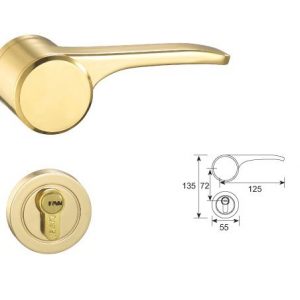 F618 Split Mortise Lock