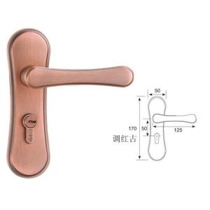 SHA Door Lock